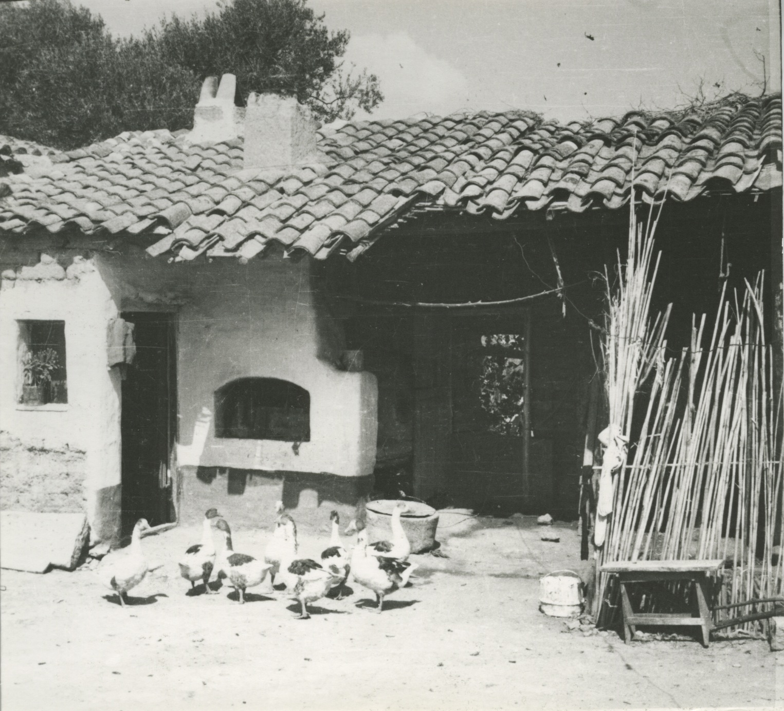 Vico Mossa Fotografie d’Architettura_533 serramanna forno riparato da tettoia TAV 35