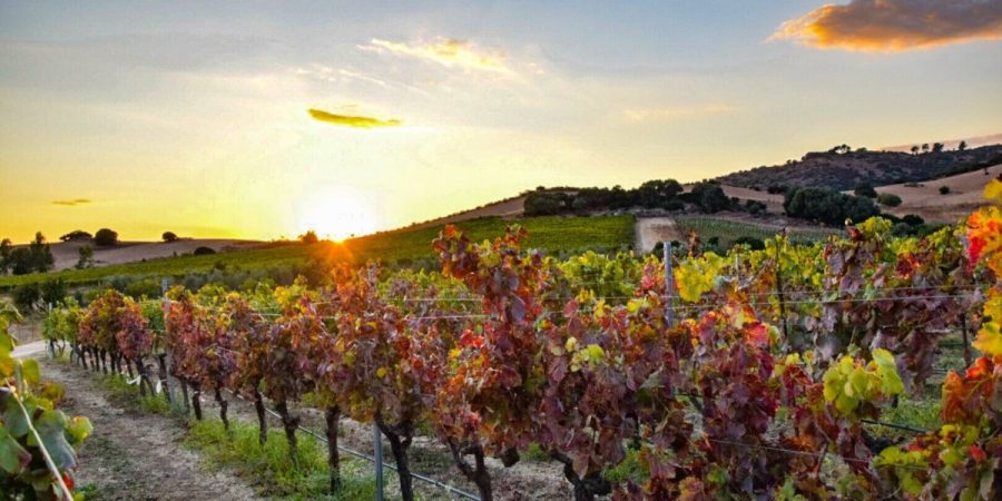 Foto tramonto tenute